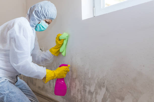 Best Residential Mold Inspection & Testing  in New Hartford Center, CT